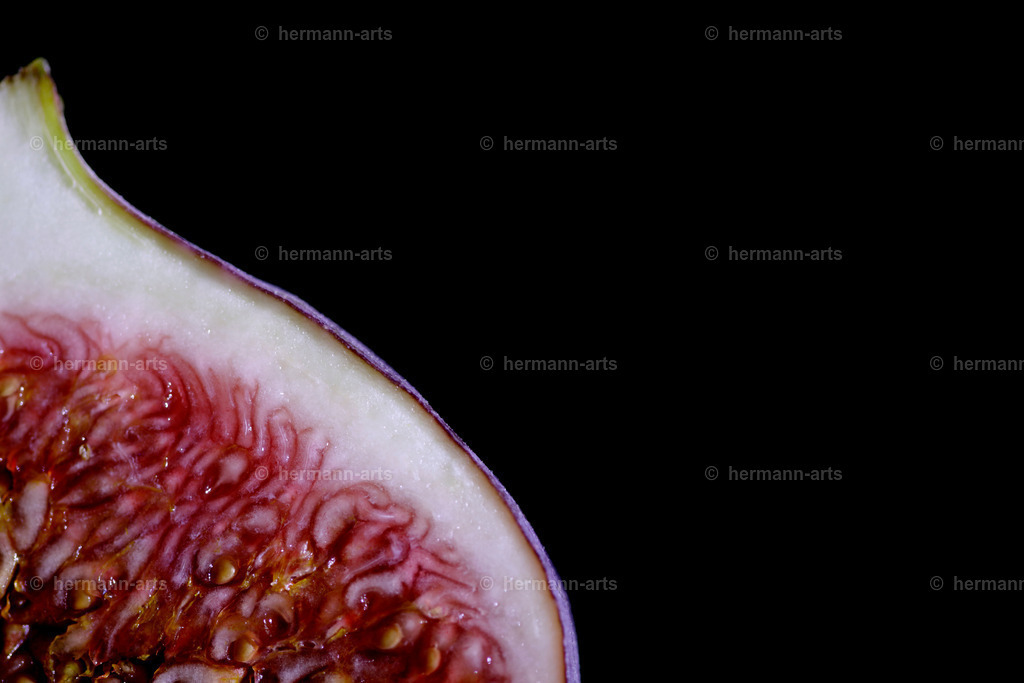 Fruits-Art-054 | Photo Foto Kunst Art schwarzweiss Bilder Rheine Münster Berlin Blumen 