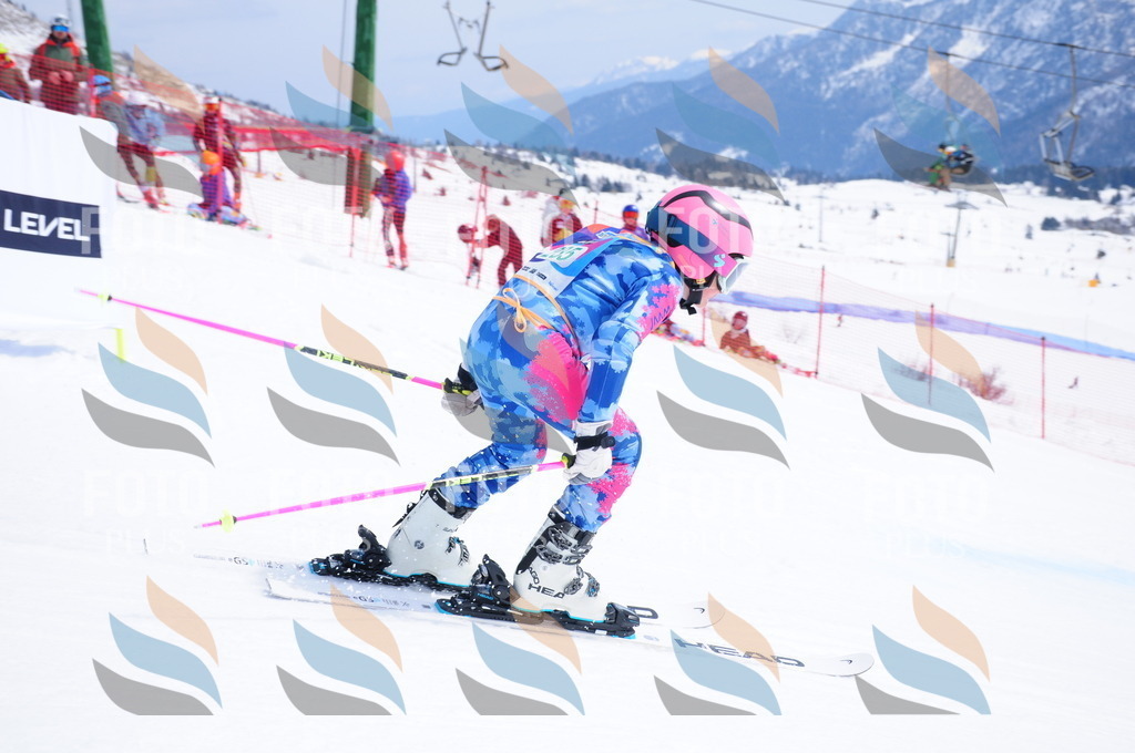 DSC_2192 | holidayphoto