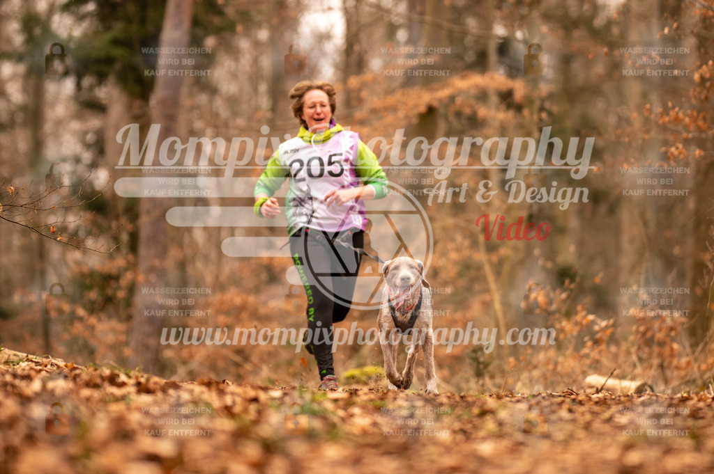 AKM_ST_2023_SAM_Run-1 | PayLife