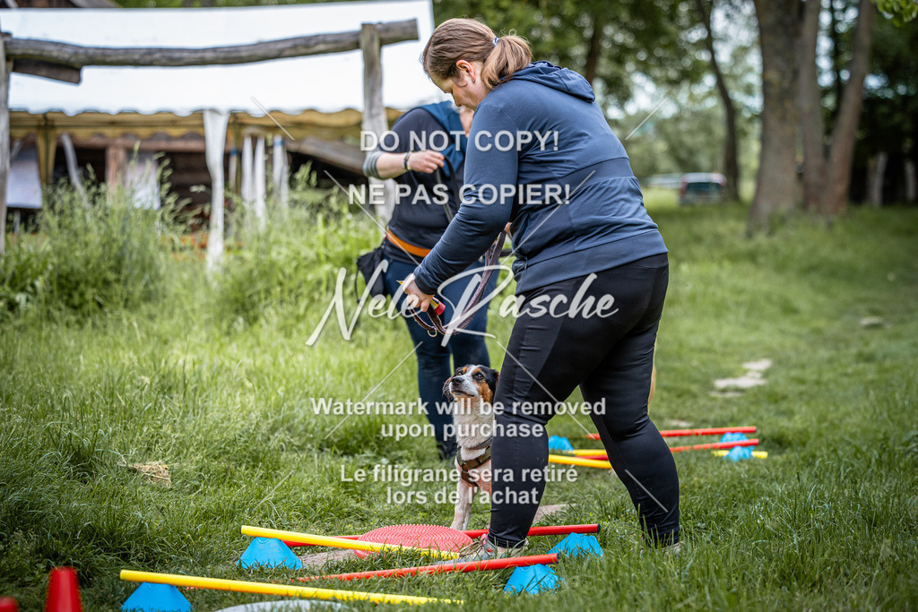 nelerasche_So-earlydog_03 | nelerasche