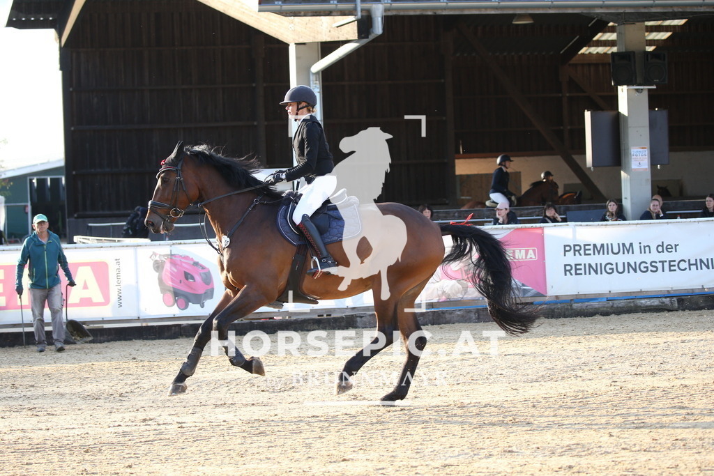 DL2Q6236 | Willkommen bei Brunnmayr - Design & Fotografie – Ihrem Spezialisten für Reitturniere und Pferdeveranstaltungen in Oberösterreich, Salzburg und Bayern! Seit über 17 Jahren sind wir leidenschaftlich dabei.