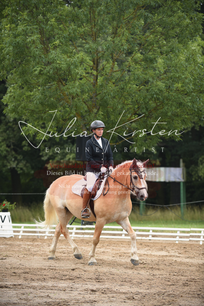 DSC_0105 | Pferde- und Turnierfotografie in Westsachsen. Pferdeportraits, Auftragszeichnungen und intuitive Kunst.