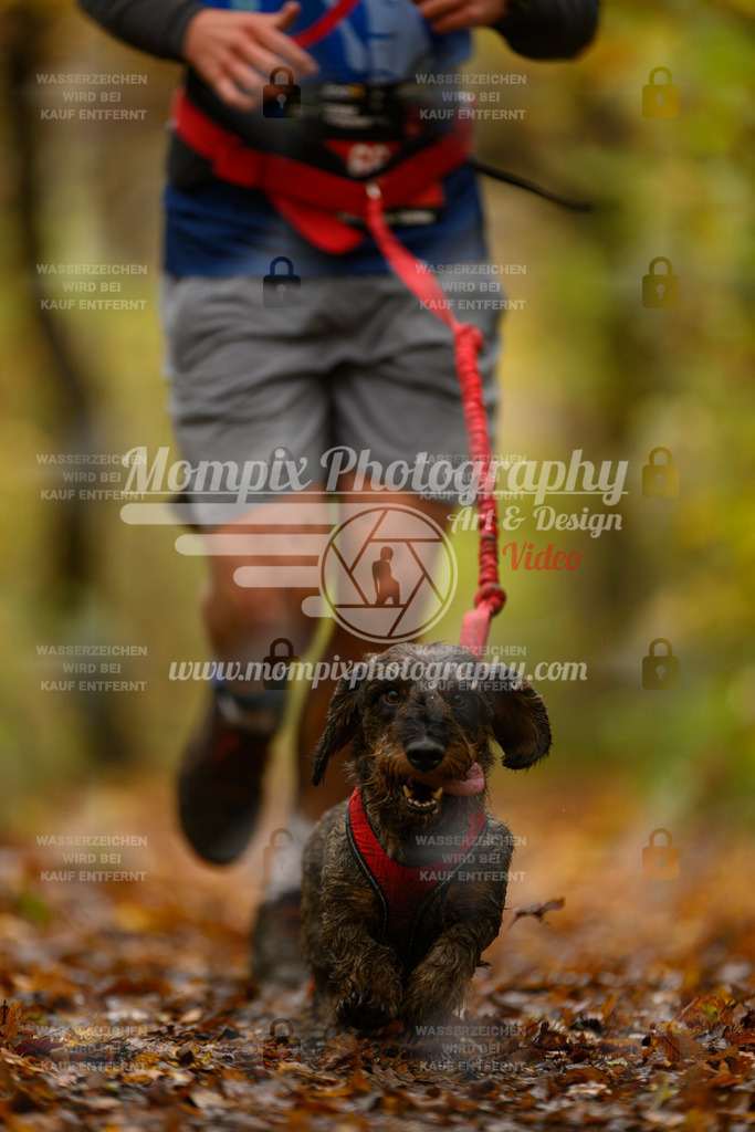 MompixPhotography_CD7S_DI_CCL-45 | mompixphotography