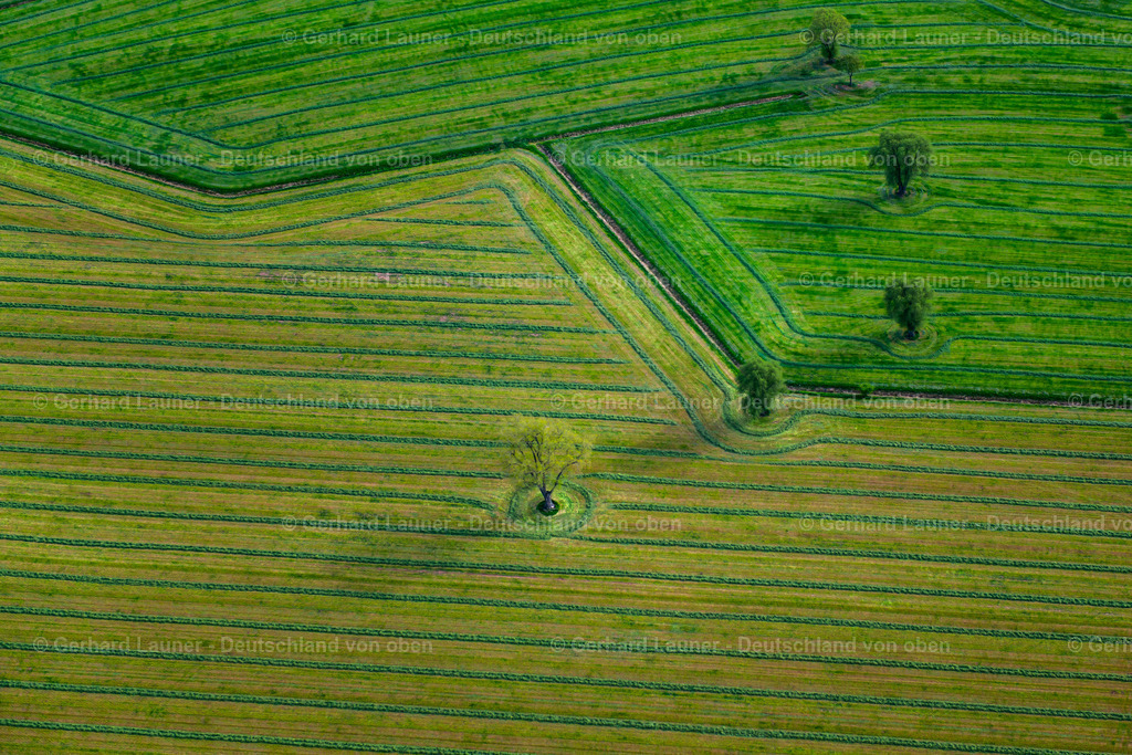 3504147 | Baumstrukturen bei Kleinfurra