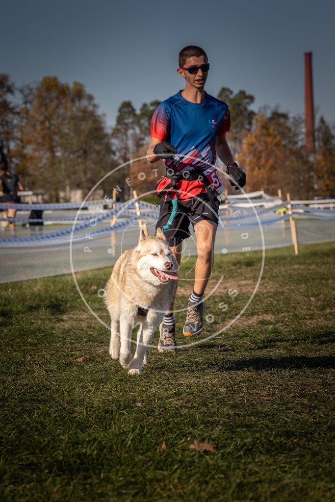 CaniXpix_0L8A8233 | Hundefotografie, Tierfotograf, Pfotenfotografie, Fotoshooting Hund, Hunde Portrait, Hundesport, Hundeportraits, Heideshooting, Hunde, Sportfotograf, Hundefotograf, Turnierhundsport, THS,  - Realisiert mit Pictrs.com