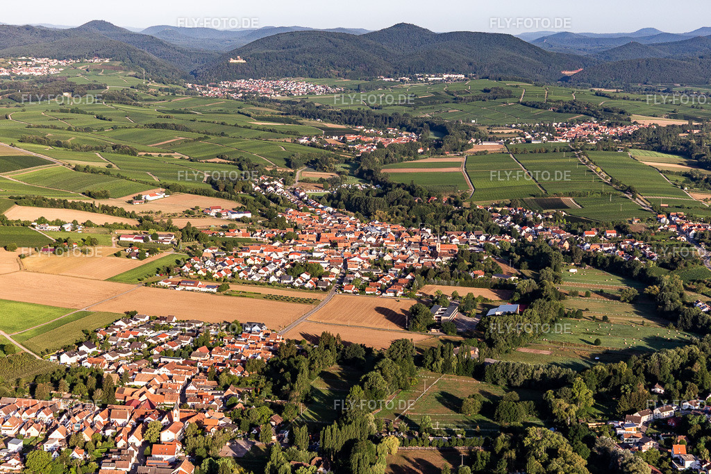 Ortsansicht von Osten | Luftbild: Ortsansicht von Osten im Ortsteil Ingenheim in Billigheim-Ingenheim im Bundesland Rheinland-Pfalz in Deutschland. Foto: IMG_116657.jpg vom 11.08.2019 durch Werner Riehm/FLY-FOTO.de - Realisiert mit Pictrs.com