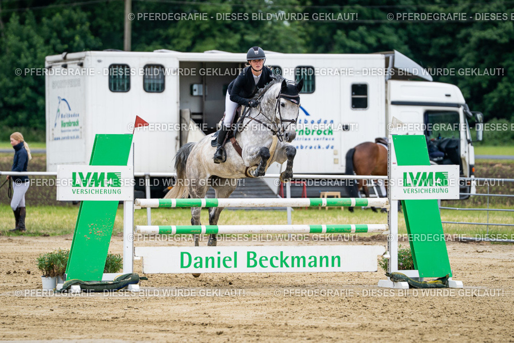 DSC05250 | Pferdegrafie