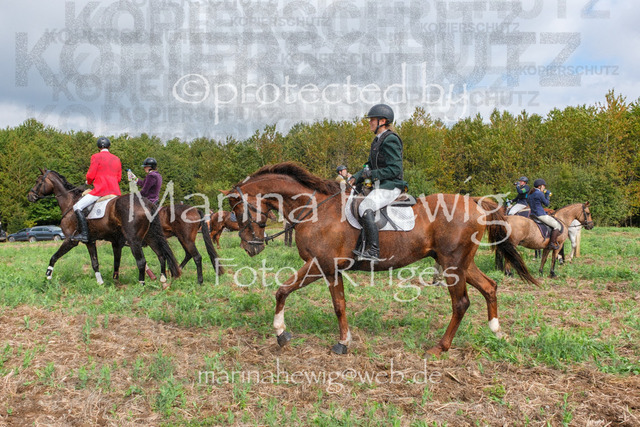 Jagd Perdoel_MarinaHewigDSCF3763 | Fotografie, FotoArt, PferdesportArt, Pferdesportfotografie, Landschaftsfotografie, Reisefotografie, Reise, Pferde - Realisiert mit Pictrs.com
