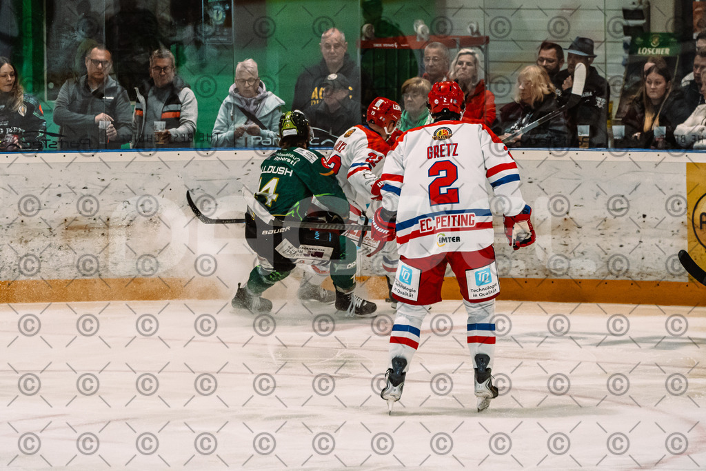 Alligators_vs_Peiting_04_10_2026-17 | Die Fotogalerie von Daddel: professionelle Bilder von Sport, Events und Unternehmen aus Franken. Jetzt Galerien durchstöbern und Lieblingsfotos bestellen. - Realisiert mit Pictrs.com