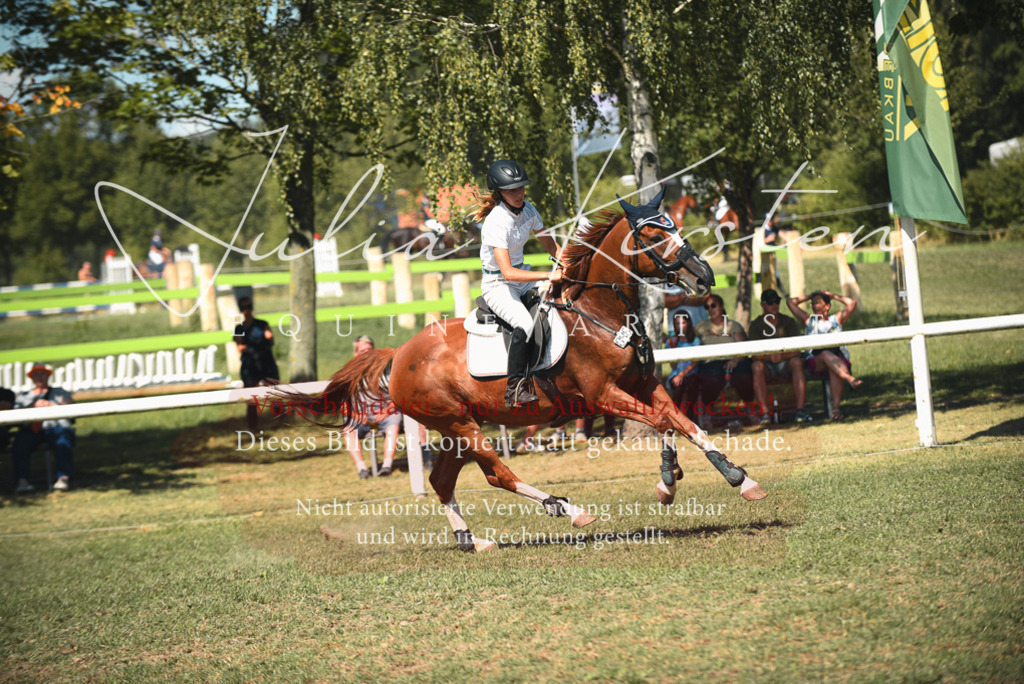 DSC_6867 | Pferde- und Turnierfotografie in Westsachsen. Pferdeportraits, Auftragszeichnungen und intuitive Kunst.