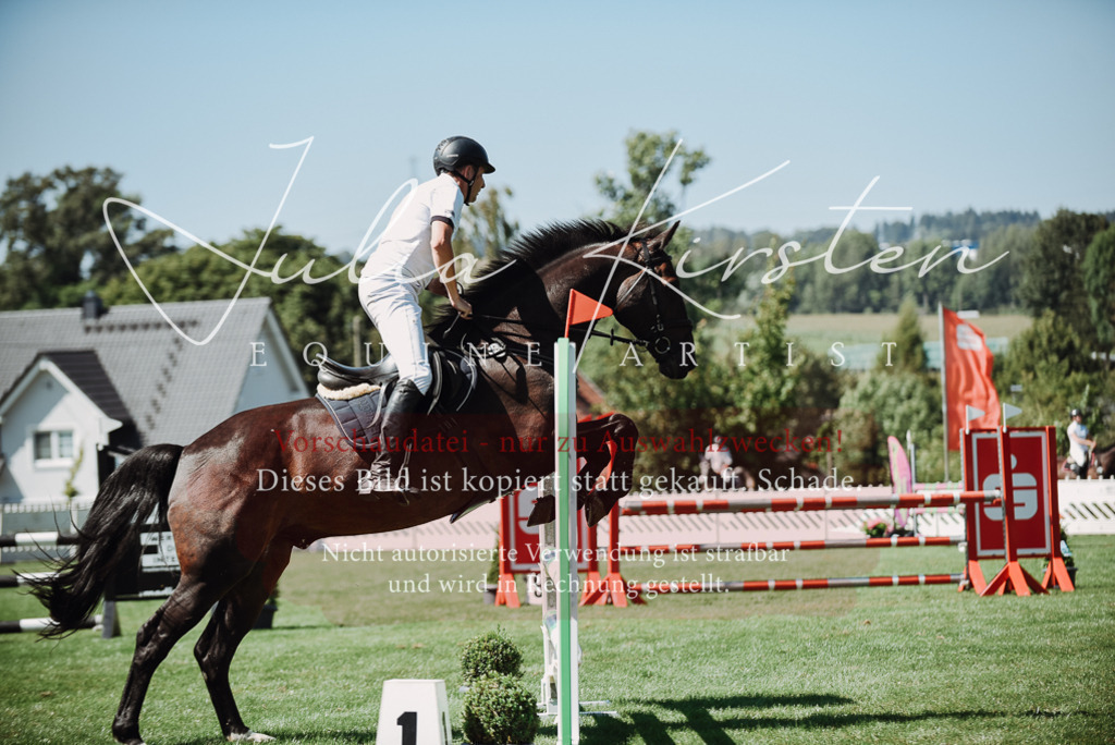 DSC_3033 | Pferde- und Turnierfotografie in Westsachsen. Pferdeportraits, Auftragszeichnungen und intuitive Kunst.