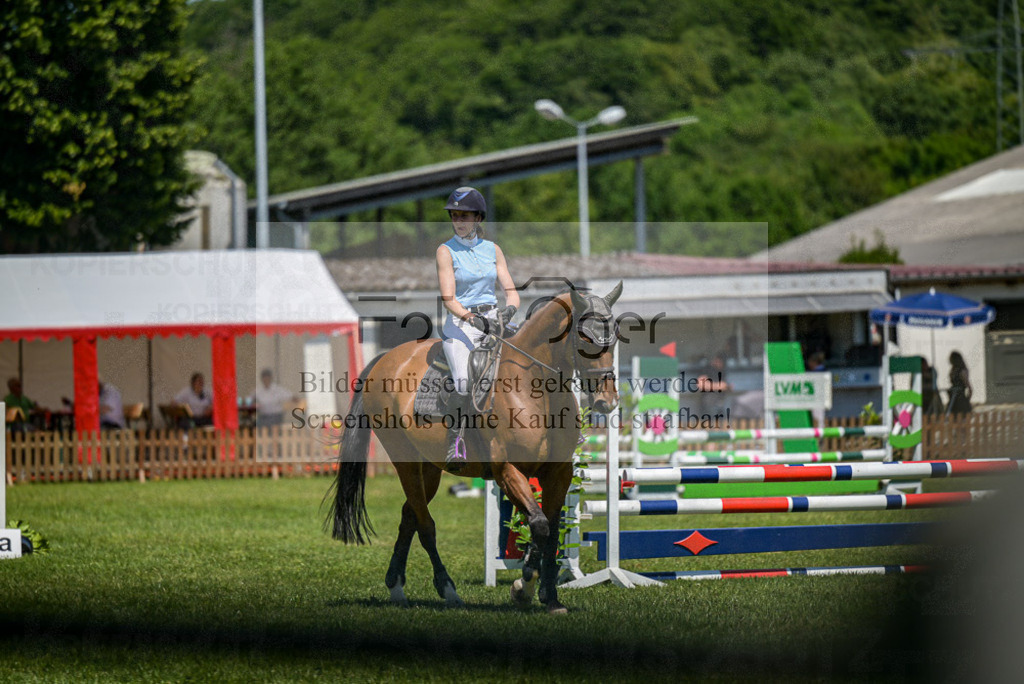 Reitturnier Voxtrup | Entdecke hochwertige Reitturnierfotos von Foto Oger. Professionell, emotional und authentisch – jetzt Lieblingsmomente im Shop bestellen. - Realisiert mit Pictrs.com