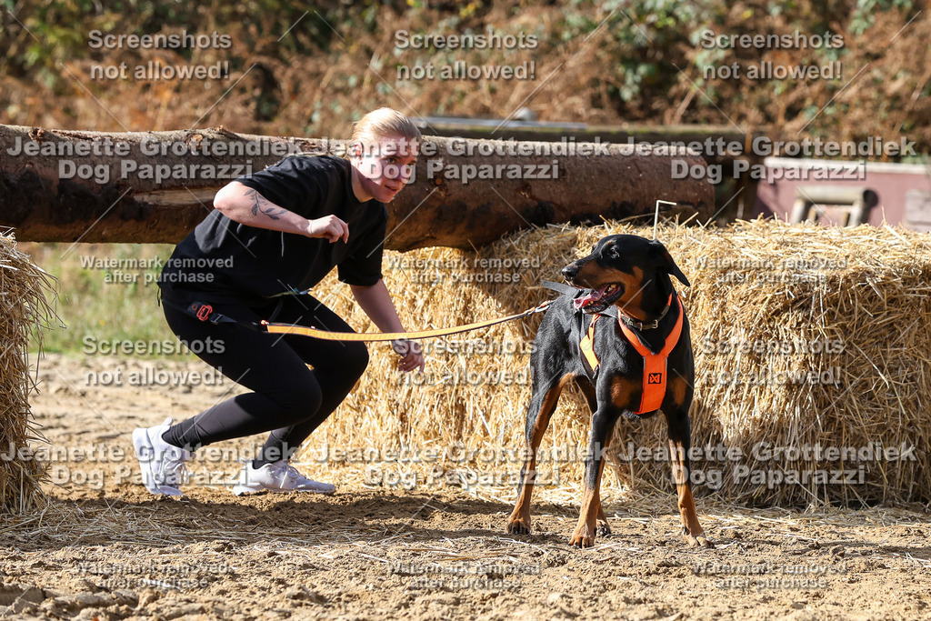 Dog Paparazzi - Strongdog 10-25-5034 | Dog Paparazzi Jeanette Grottendiek Fotografie & Videografie - Realisiert mit Pictrs.com