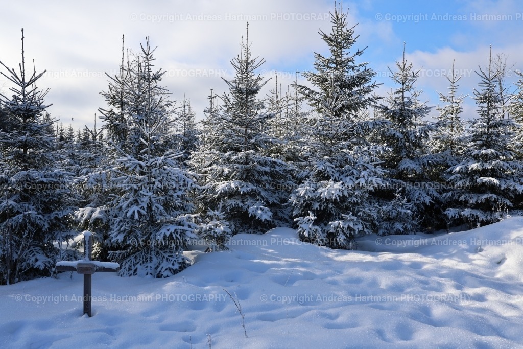 Winterimpressionen am Plattenberg | Winterimpressionen am Plattenberg - Realisiert mit Pictrs.com