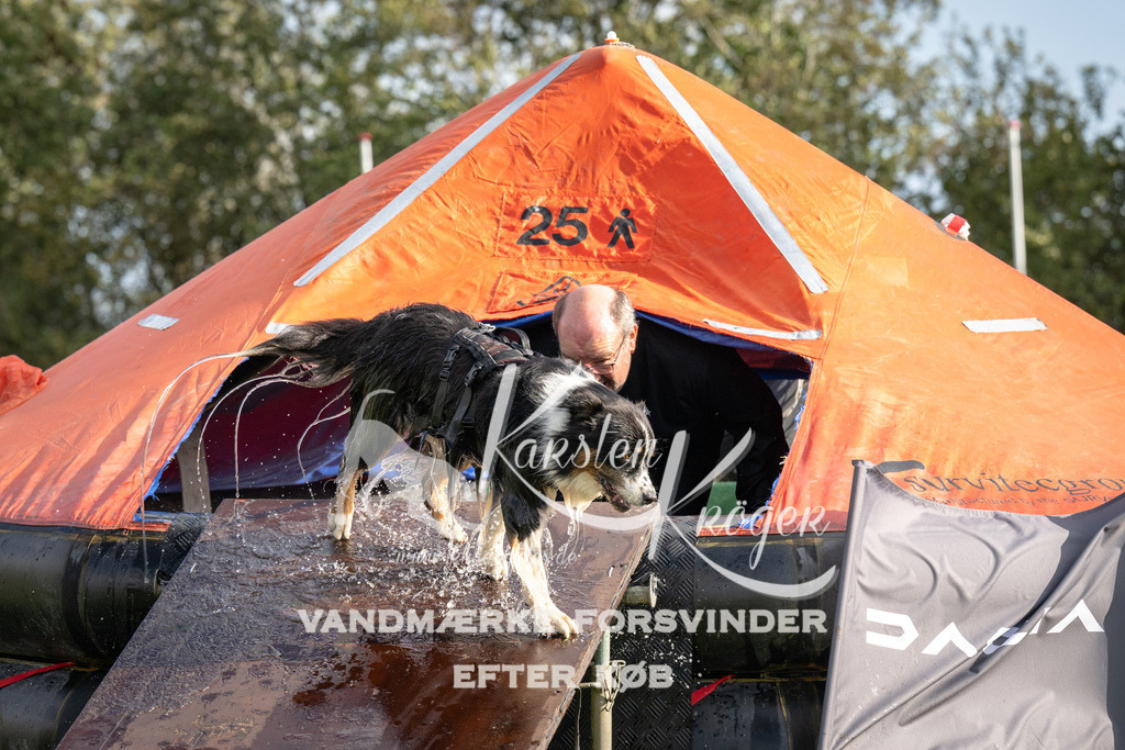 1400-93529 | kk-dogfotos