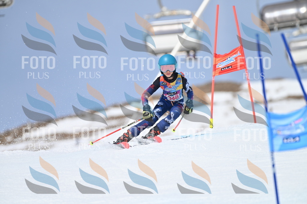 BGV_3593 | holidayphoto