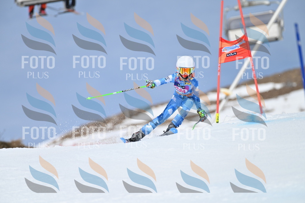 BGV_1764 | holidayphoto