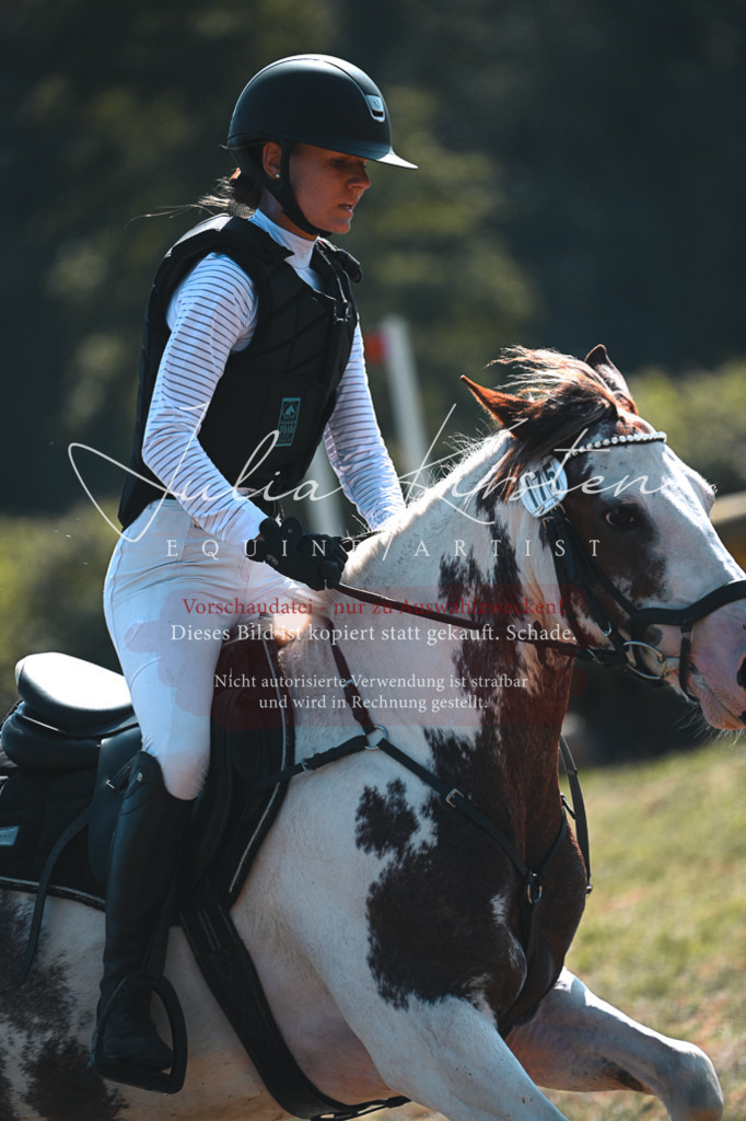 DSC_8104 | Pferde- und Turnierfotografie in Westsachsen. Pferdeportraits, Auftragszeichnungen und intuitive Kunst.