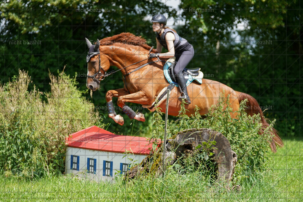 20240622-FAH06777 | Turnierfotografen Bayern, Reitsportbilder aus dem Geländekurs mit Felix Etzel auf dem Gut Waitzacker 2024