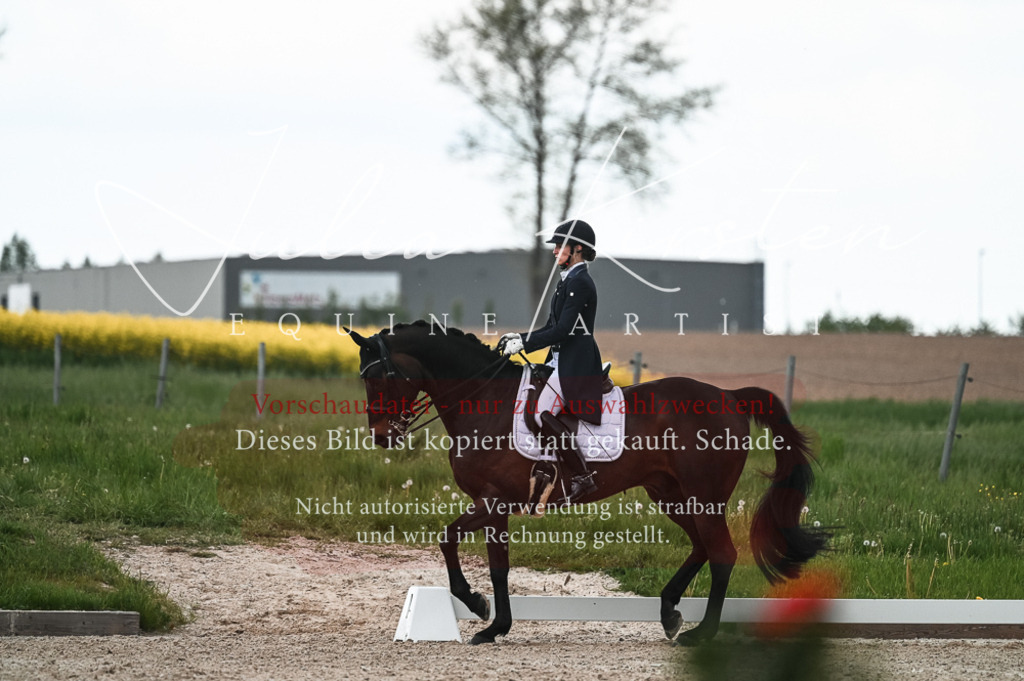 20230514_JK-Röhrsdorf-21-304 | Pferde- und Turnierfotografie in Westsachsen. Pferdeportraits, Auftragszeichnungen und intuitive Kunst.