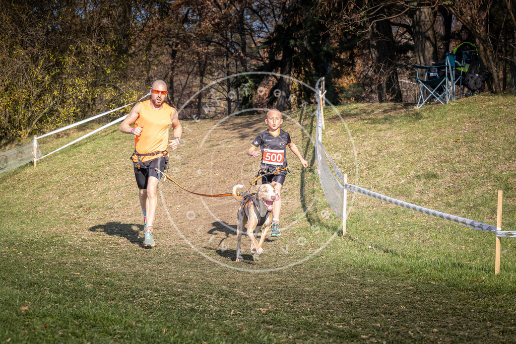 CaniXpix_0L8A8309 | Hundefotografie, Tierfotograf, Pfotenfotografie, Fotoshooting Hund, Hunde Portrait, Hundesport, Hundeportraits, Heideshooting, Hunde, Sportfotograf, Hundefotograf, Turnierhundsport, THS,  - Realisiert mit Pictrs.com
