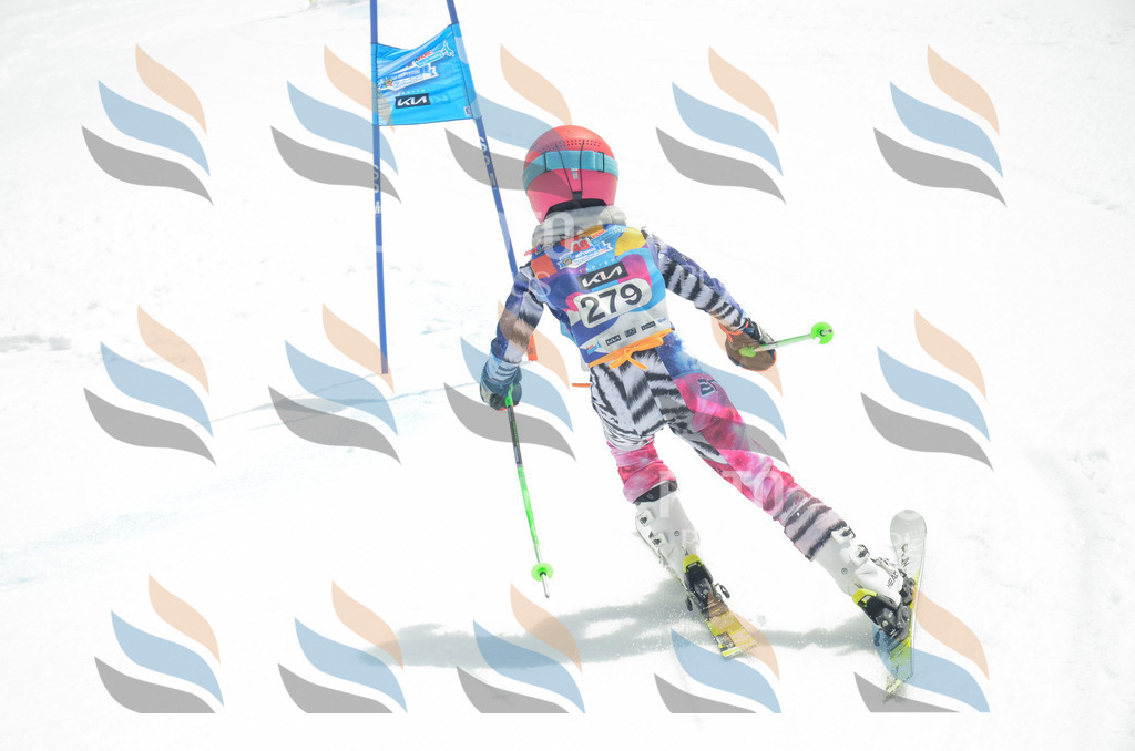 _ELE7924 | holidayphoto