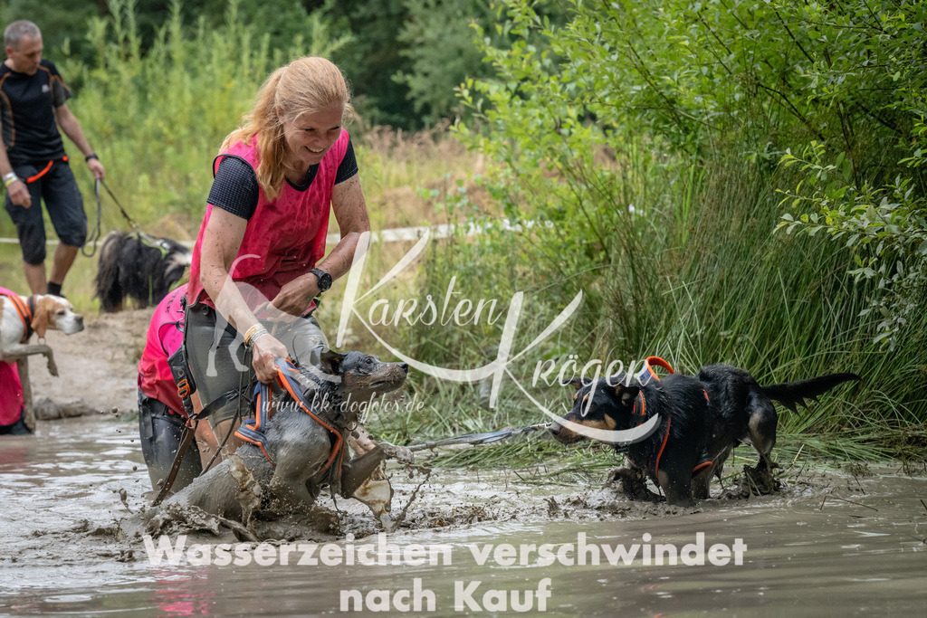1340_ZZ91690 | kk-dogfotos