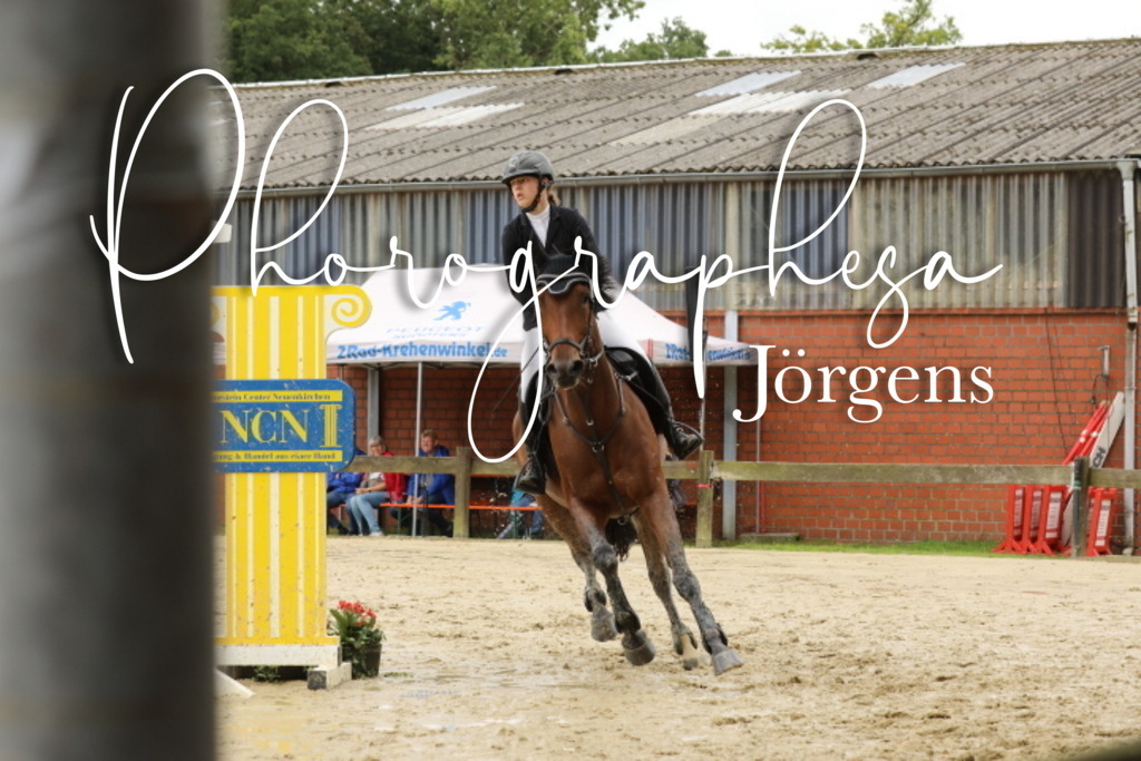 IMG_2228 | photographesa-joergens - Realisiert mit Pictrs.com