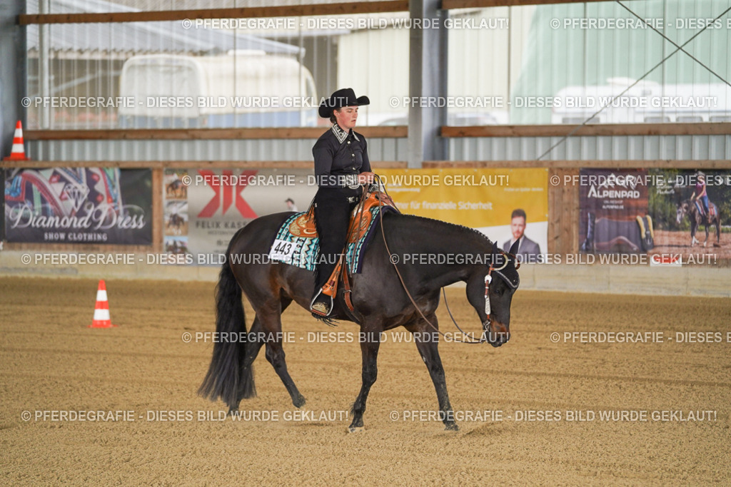 DSC09547 | Pferdegrafie