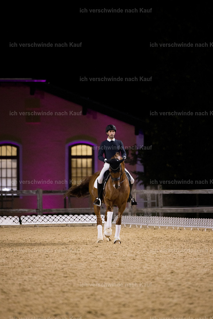 FHC2025 Isabell Werth-26510 | working equitationturnier fotograf videograf stoibphotography marixx film working equitation deutschland reitsport turnierfotografie eventfotografie equestrian events