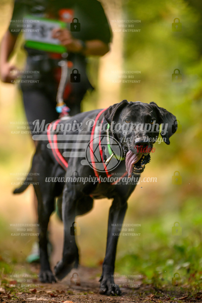 MompixPhotography_Yens2025_B3-234 | PayLife