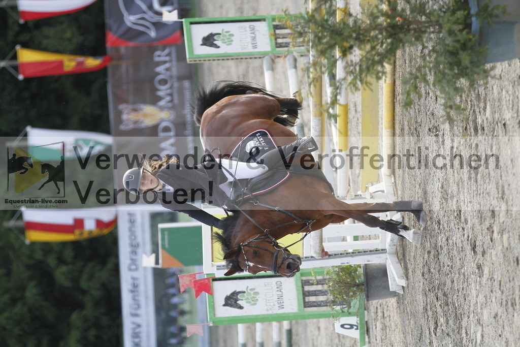 _MG_6453 | equestrian-live-com