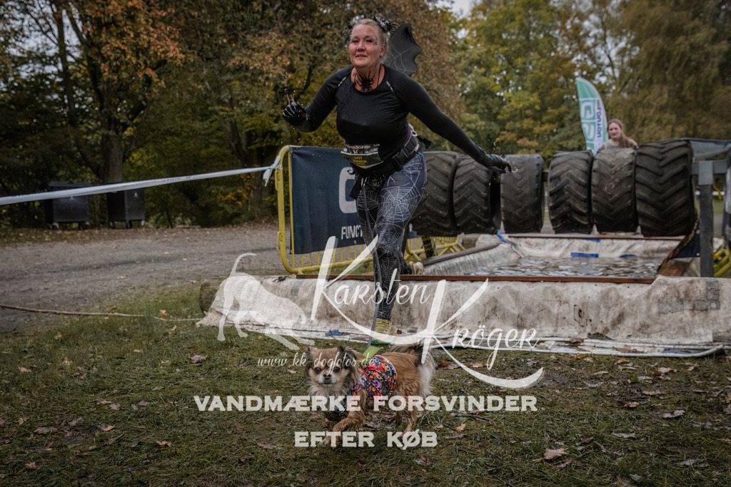 1629_ZZ93591 | kk-dogfotos