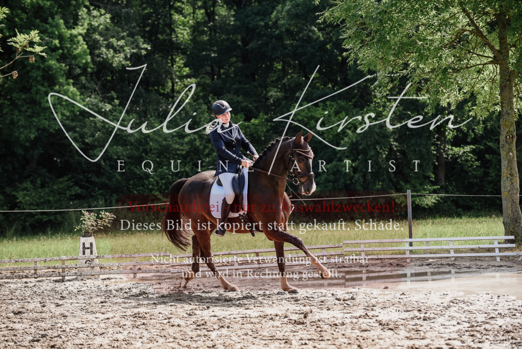 DSC_0125 | Pferde- und Turnierfotografie in Westsachsen. Pferdeportraits, Auftragszeichnungen und intuitive Kunst.