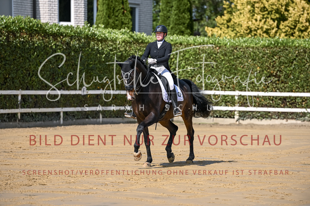 Schugtsche-Aluta25-58. Dressurprf.S1Kand.St.GeorgSpecial-201 | Schugtsche Fotografie - Realisiert mit Pictrs.com