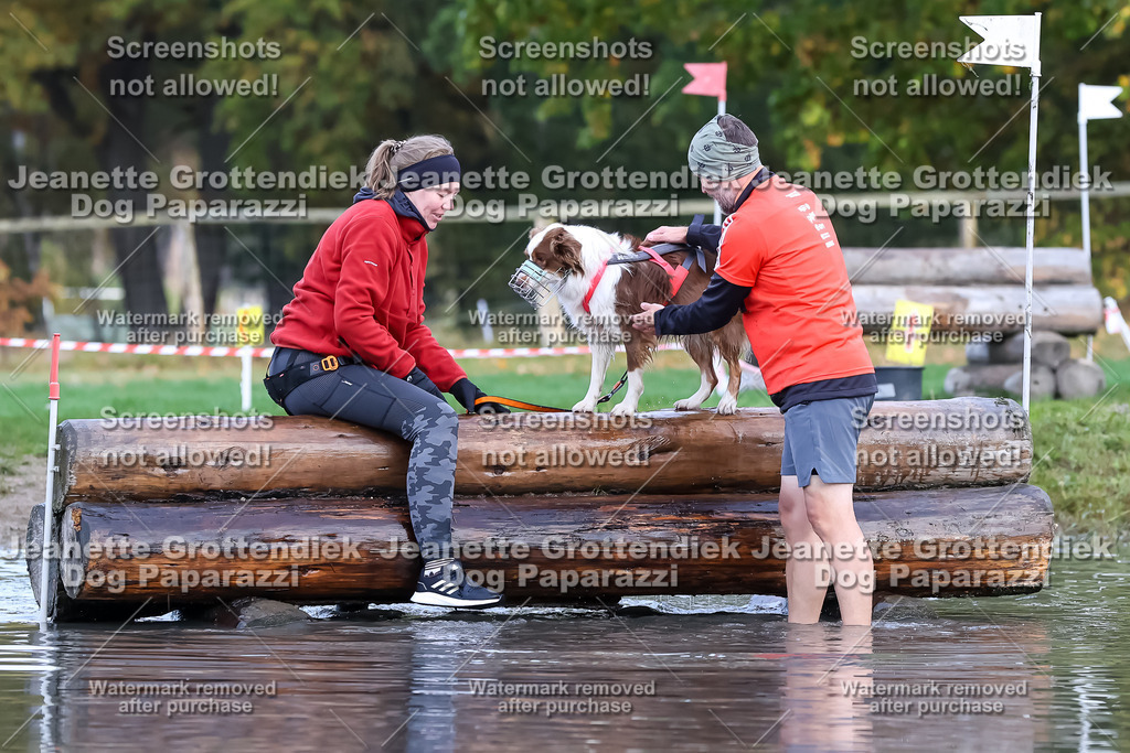 Dog Paparazzi - Strongdog 10-25-6670 | Dog Paparazzi Jeanette Grottendiek Fotografie & Videografie