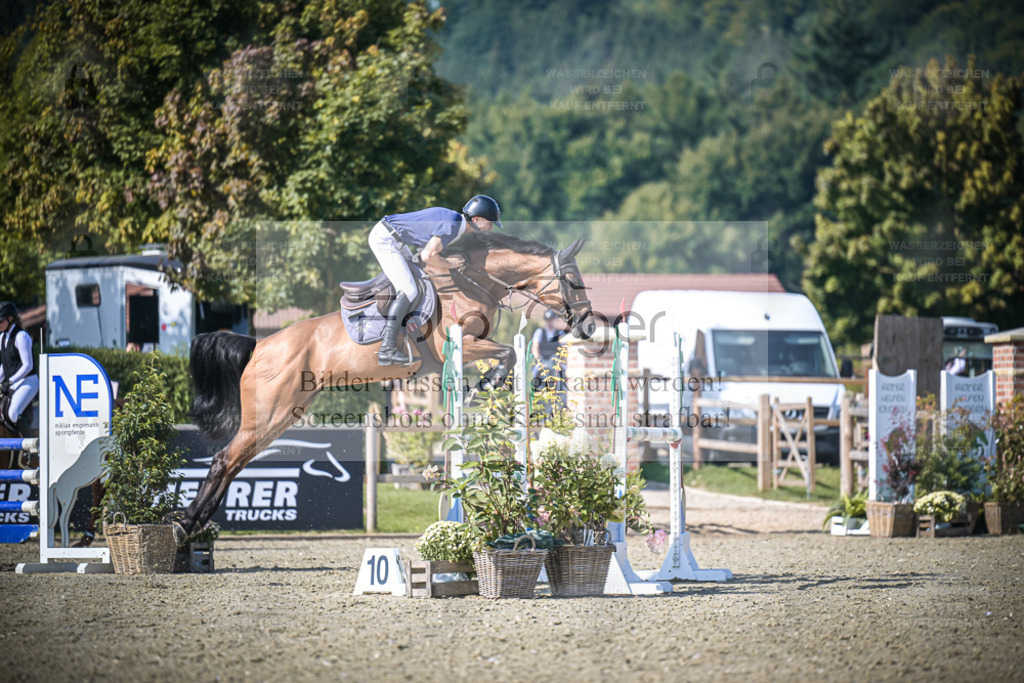 DOS_0495 | Entdecke hochwertige Reitturnierfotos von Foto Oger. Professionell, emotional und authentisch – jetzt Lieblingsmomente im Shop bestellen. - Realisiert mit Pictrs.com