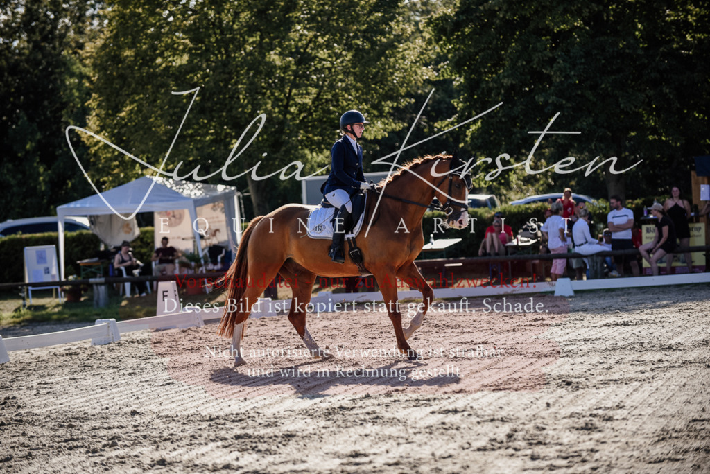 DSC_0493 | Pferde- und Turnierfotografie in Westsachsen. Pferdeportraits, Auftragszeichnungen und intuitive Kunst.