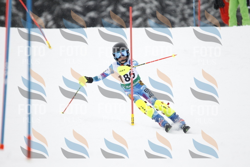 A2132 | holidayphoto