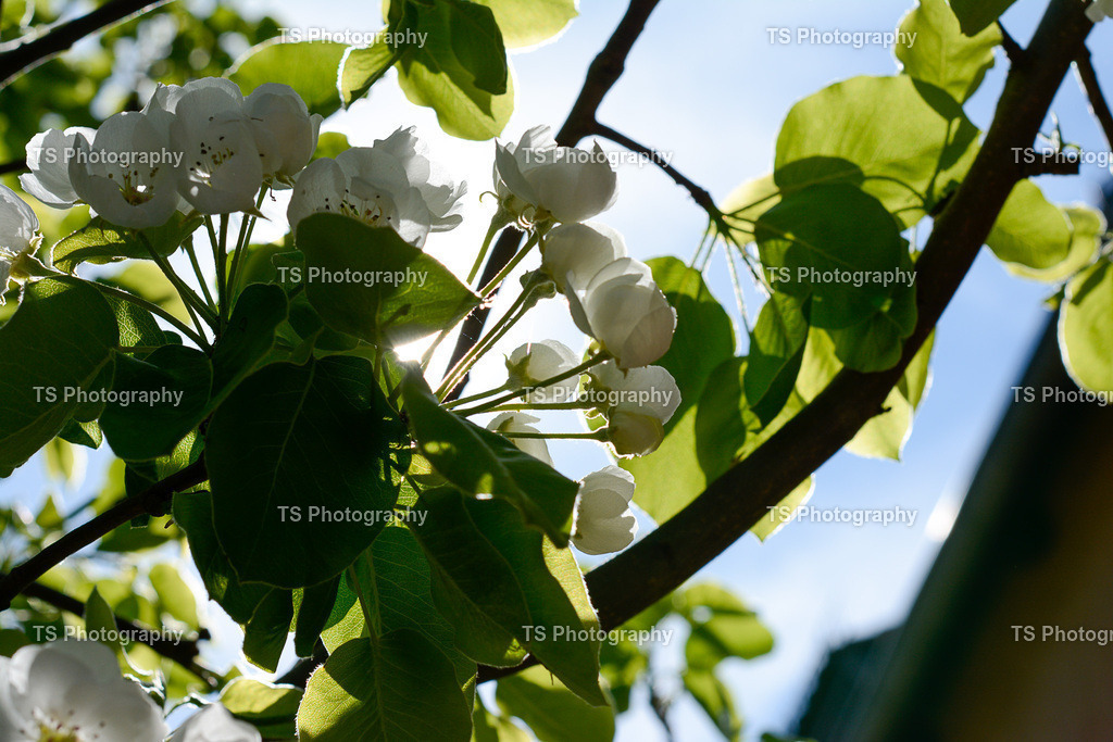 Tierpark 20.04.25-111 | TS Photography - Realisiert mit Pictrs.com