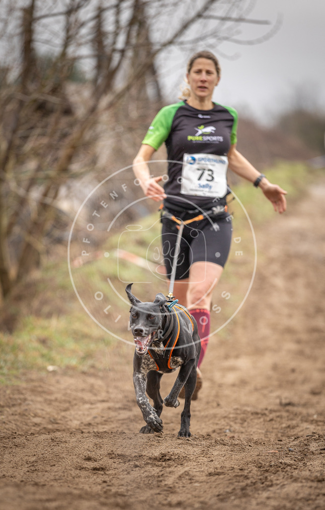 DV3A9696 | Hundefotografie, Tierfotograf, Pfotenfotografie, Fotoshooting Hund, Hunde Portrait, Hundesport, Hundeportraits, Heideshooting, Hunde, Sportfotograf, Hundefotograf, Turnierhundsport, THS,  - Realisiert mit Pictrs.com