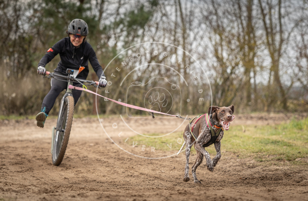 Pfotenfotografie_DV3A9507 | Hundefotografie, Tierfotograf, Pfotenfotografie, Fotoshooting Hund, Hunde Portrait, Hundesport, Hundeportraits, Heideshooting, Hunde, Sportfotograf, Hundefotograf, Turnierhundsport, THS,  - Realisiert mit Pictrs.com