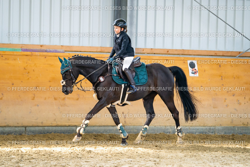 DSC01650 | Pferdegrafie