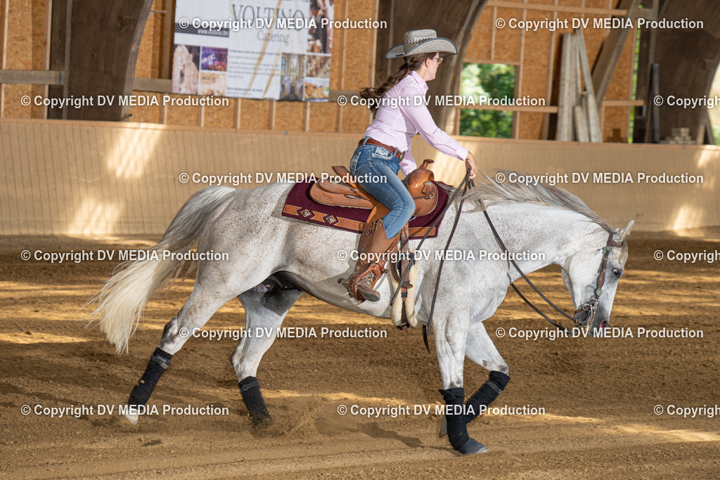 DSC00356 | dv-media-shop - Realisiert mit Pictrs.com