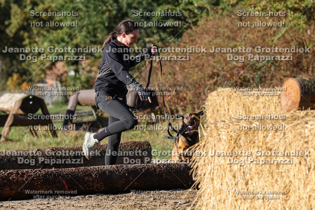 Dog Paparazzi - Strongdog 10-25-1446 | Dog Paparazzi Jeanette Grottendiek Fotografie & Videografie - Realisiert mit Pictrs.com