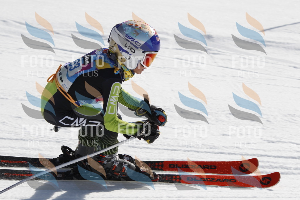 _U3G9683 | holidayphoto