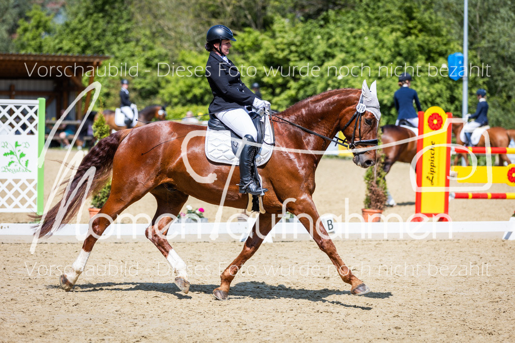 Donop24-L-Dre-076 | MomenTaufnahmen Pferdesportfotos