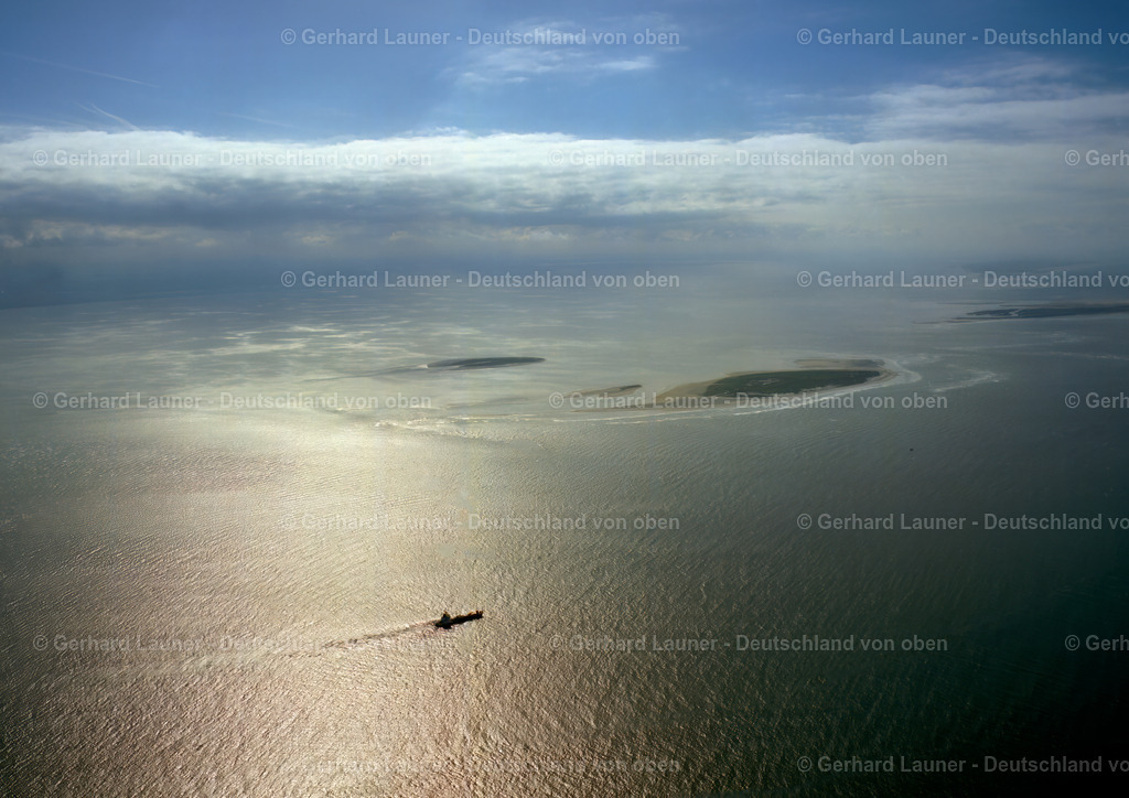 9300158 | Vogelschutzgebiet Mellum, Nationalpark Niedersächsisches Wattenmeer