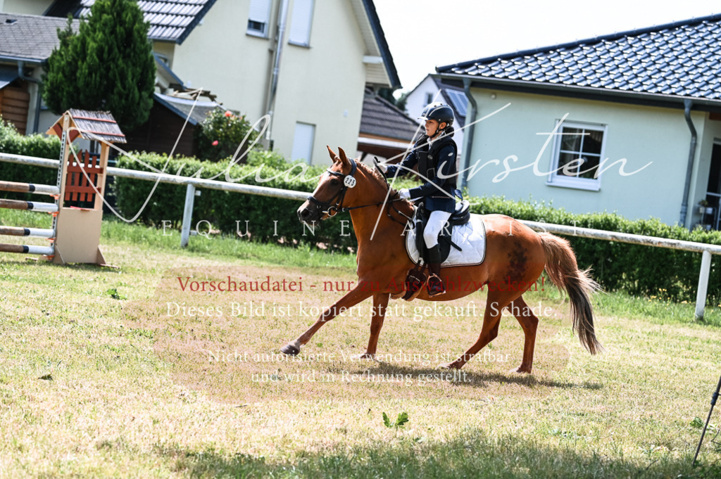 DSC_9665 | Pferde- und Turnierfotografie in Westsachsen. Pferdeportraits, Auftragszeichnungen und intuitive Kunst.