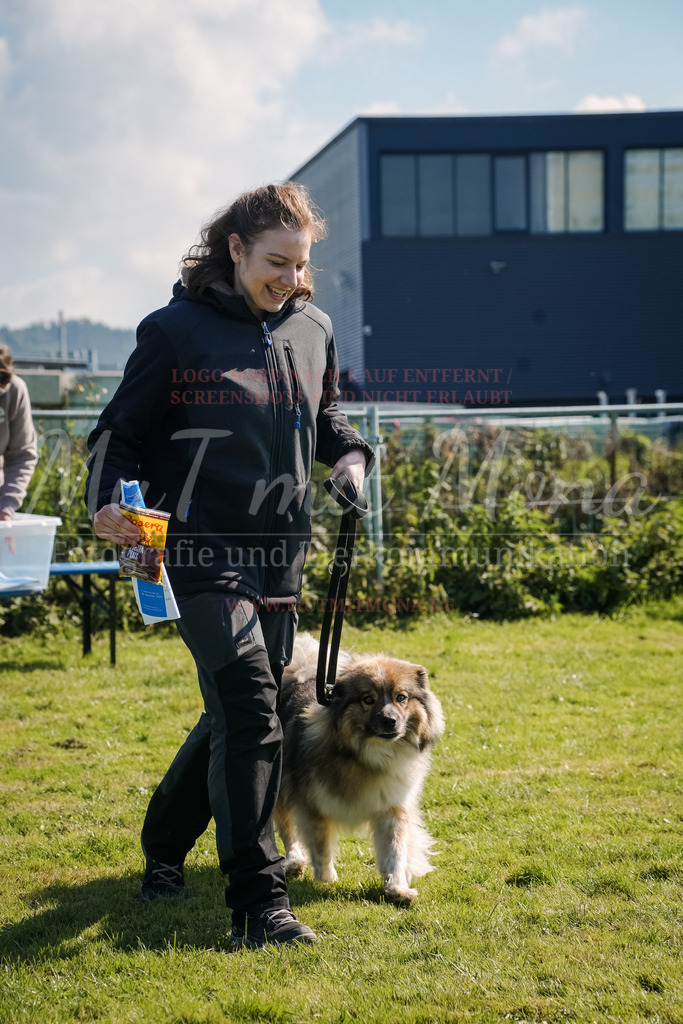 20250928_Hunderennen-747 | MuT (Mensch und Tier) mit Mona - Fotografie und Tierkommunikation - Realisiert mit Pictrs.com